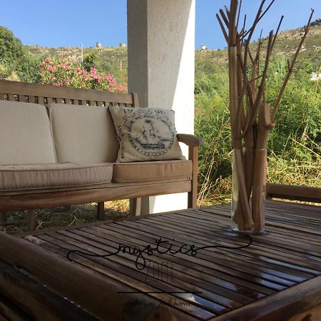 Mystics Zone Bed and Breakfast Αλικαρνασσός Εξωτερικό φωτογραφία